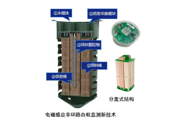 白蟻檢測裝置